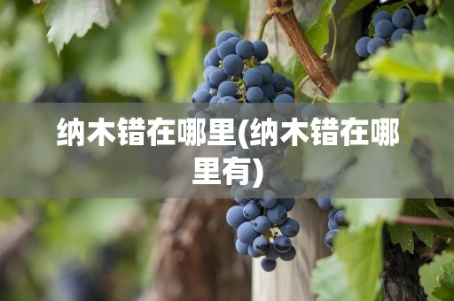纳木错在哪里(纳木错在哪里有)