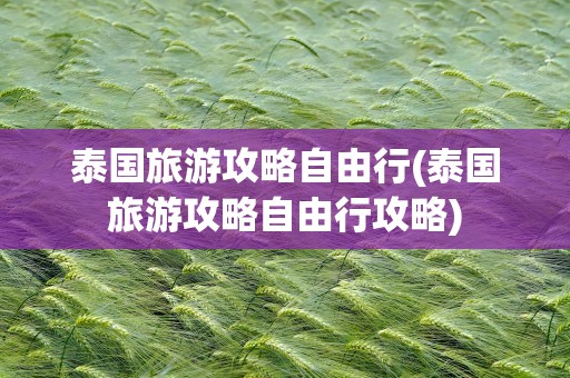 泰国旅游攻略自由行(泰国旅游攻略自由行攻略)