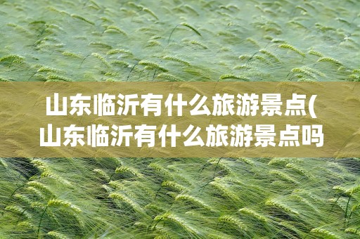 山东临沂有什么旅游景点(山东临沂有什么旅游景点吗)