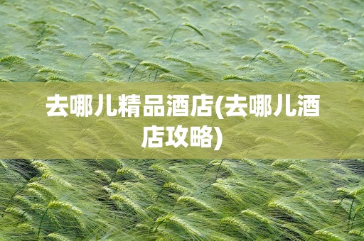 去哪儿精品酒店(去哪儿酒店攻略)