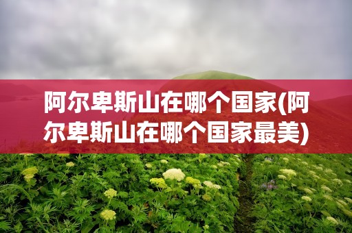阿尔卑斯山在哪个国家(阿尔卑斯山在哪个国家最美)
