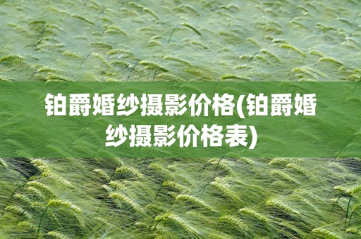 铂爵婚纱摄影价格(铂爵婚纱摄影价格表)