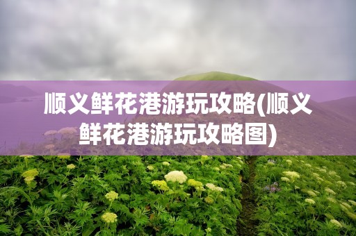 顺义鲜花港游玩攻略(顺义鲜花港游玩攻略图)