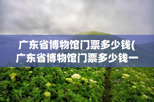 广东省博物馆门票多少钱(广东省博物馆门票多少钱一张)