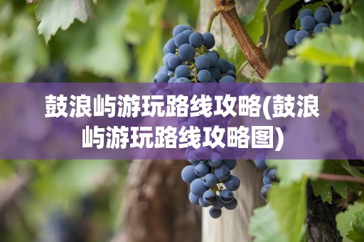 鼓浪屿游玩路线攻略(鼓浪屿游玩路线攻略图)