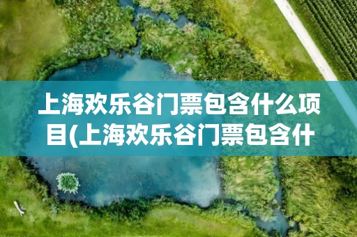 上海欢乐谷门票包含什么项目(上海欢乐谷门票包含什么项目啊)
