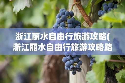 浙江丽水自由行旅游攻略(浙江丽水自由行旅游攻略路线)