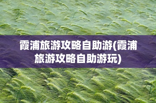 霞浦旅游攻略自助游(霞浦旅游攻略自助游玩)