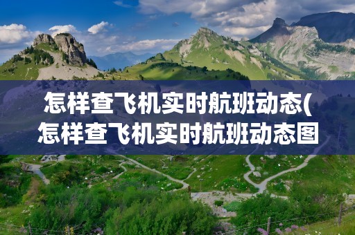怎样查飞机实时航班动态(怎样查飞机实时航班动态图)