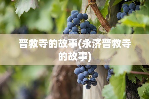 普救寺的故事(永济普救寺的故事)