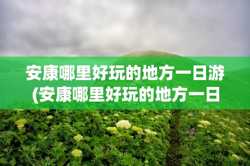 安康哪里好玩的地方一日游(安康哪里好玩的地方一日游最好)