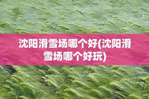 沈阳滑雪场哪个好(沈阳滑雪场哪个好玩)