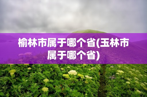 榆林市属于哪个省(玉林市属于哪个省)