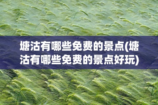 塘沽有哪些免费的景点(塘沽有哪些免费的景点好玩)
