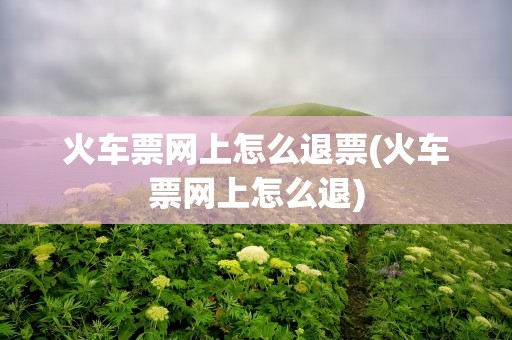 火车票网上怎么退票(火车票网上怎么退)