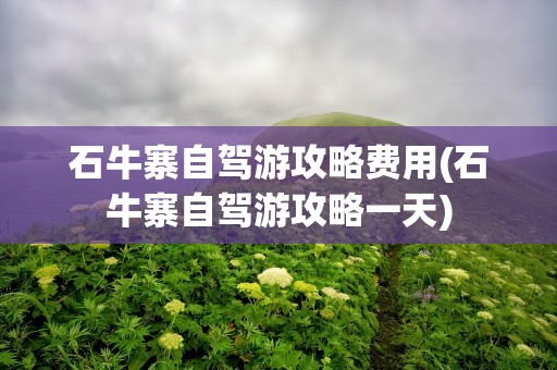 石牛寨自驾游攻略费用(石牛寨自驾游攻略一天)