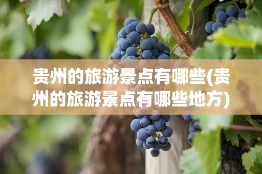贵州的旅游景点有哪些(贵州的旅游景点有哪些地方)