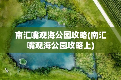 南汇嘴观海公园攻略(南汇嘴观海公园攻略上)