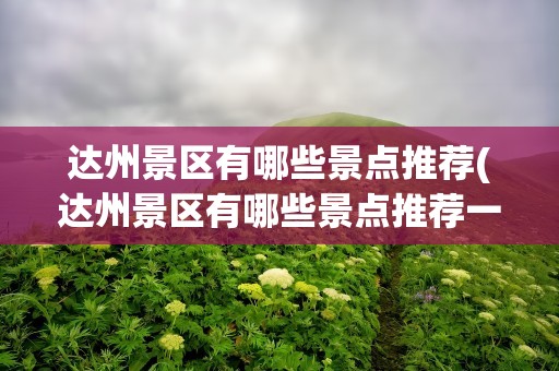 达州景区有哪些景点推荐(达州景区有哪些景点推荐一下)
