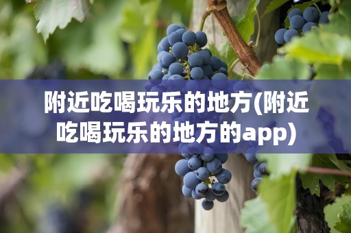 附近吃喝玩乐的地方(附近吃喝玩乐的地方的app)