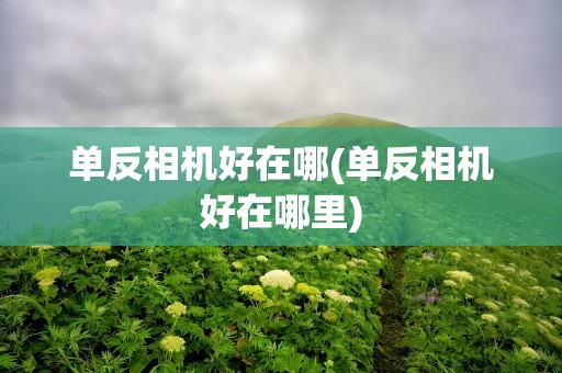 单反相机好在哪(单反相机好在哪里)
