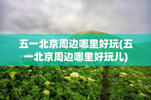 五一北京周边哪里好玩(五一北京周边哪里好玩儿)