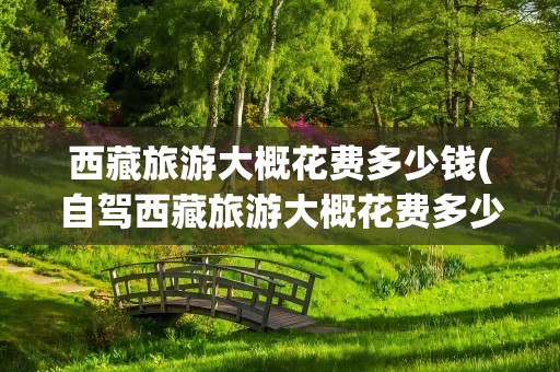 西藏旅游大概花费多少钱(自驾西藏旅游大概花费多少钱)