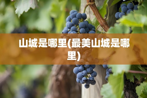 山城是哪里(最美山城是哪里)