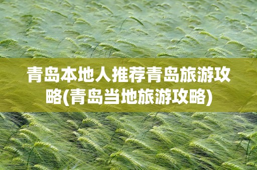 青岛本地人推荐青岛旅游攻略(青岛当地旅游攻略)
