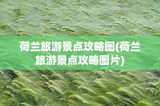 荷兰旅游景点攻略图(荷兰旅游景点攻略图片)
