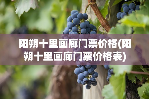 阳朔十里画廊门票价格(阳朔十里画廊门票价格表)