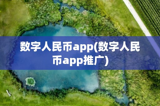 数字人民币app(数字人民币app推广)