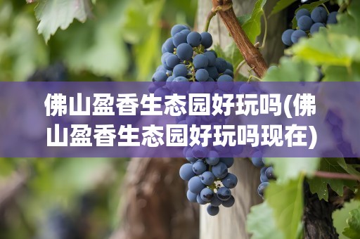 佛山盈香生态园好玩吗(佛山盈香生态园好玩吗现在)