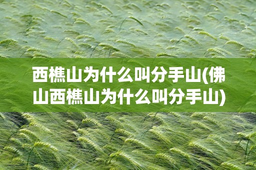 西樵山为什么叫分手山(佛山西樵山为什么叫分手山)