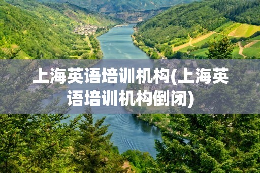 上海英语培训机构(上海英语培训机构倒闭)