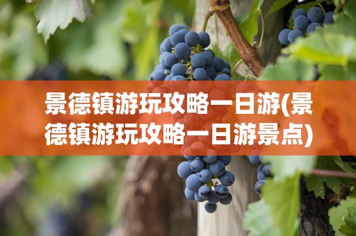 景德镇游玩攻略一日游(景德镇游玩攻略一日游景点)