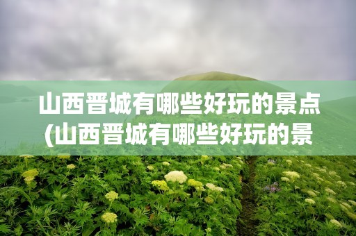 山西晋城有哪些好玩的景点(山西晋城有哪些好玩的景点推荐)