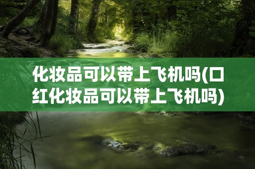 化妆品可以带上飞机吗(口红化妆品可以带上飞机吗)