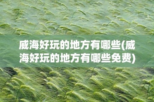 威海好玩的地方有哪些(威海好玩的地方有哪些免费)