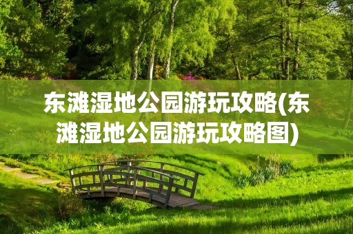 东滩湿地公园游玩攻略(东滩湿地公园游玩攻略图)