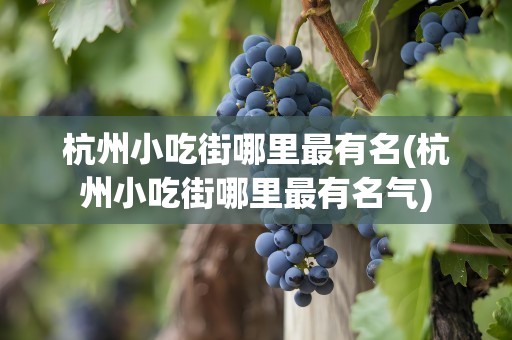 杭州小吃街哪里最有名(杭州小吃街哪里最有名气)