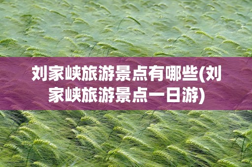 刘家峡旅游景点有哪些(刘家峡旅游景点一日游)