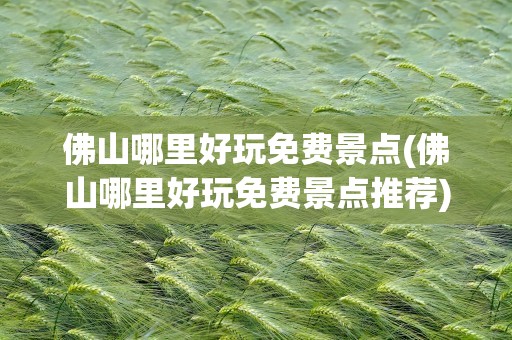佛山哪里好玩免费景点(佛山哪里好玩免费景点推荐)
