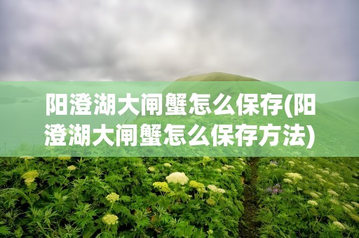 阳澄湖大闸蟹怎么保存(阳澄湖大闸蟹怎么保存方法)