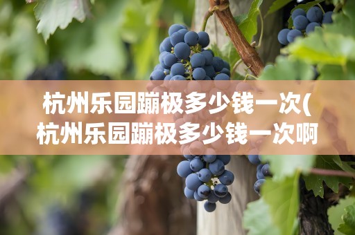 杭州乐园蹦极多少钱一次(杭州乐园蹦极多少钱一次啊)