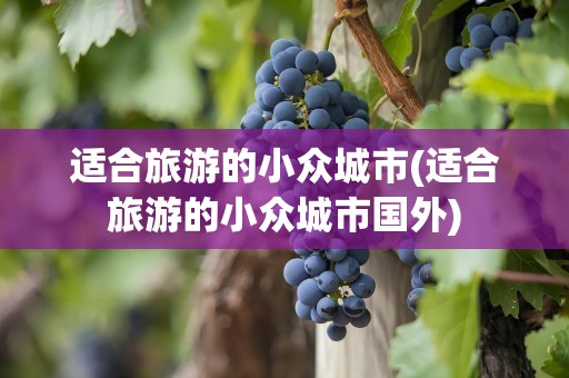 适合旅游的小众城市(适合旅游的小众城市国外)