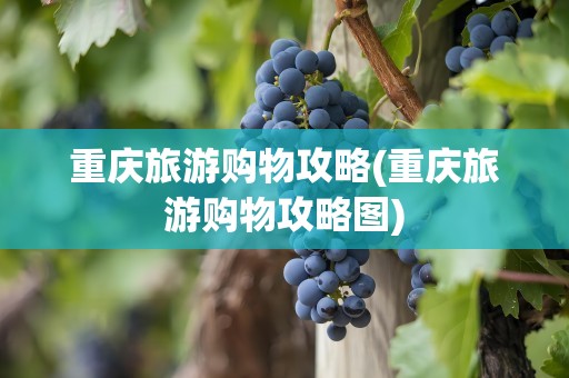 重庆旅游购物攻略(重庆旅游购物攻略图)