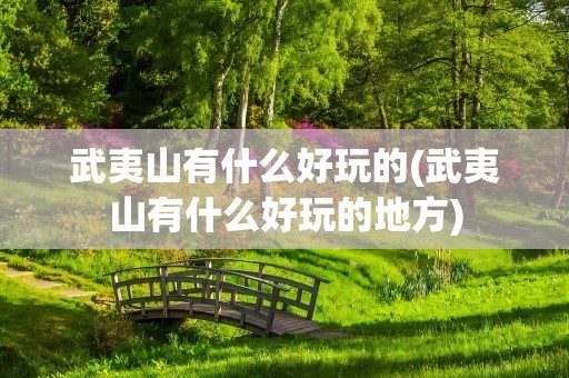 武夷山有什么好玩的(武夷山有什么好玩的地方)