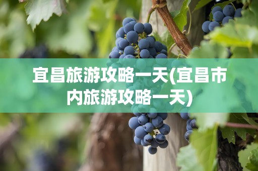 宜昌旅游攻略一天(宜昌市内旅游攻略一天)