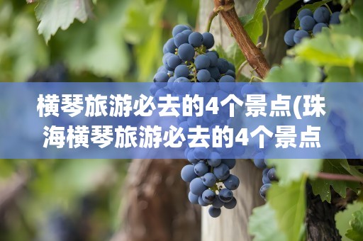 横琴旅游必去的4个景点(珠海横琴旅游必去的4个景点)